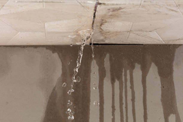 Professional Flood Damage Cleanup technician working in Lewistown, IL